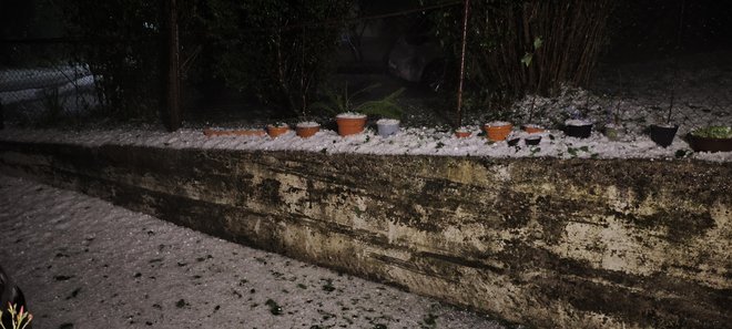 Neurje na Primorskem pri Postojni. FOTO: Jan Sladič