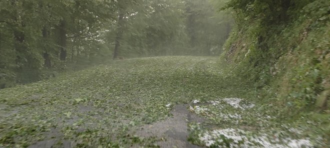 Neurje na Primorskem pri Postojni. FOTO: Jan Sladič